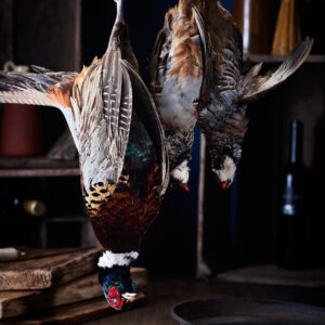 Partridge