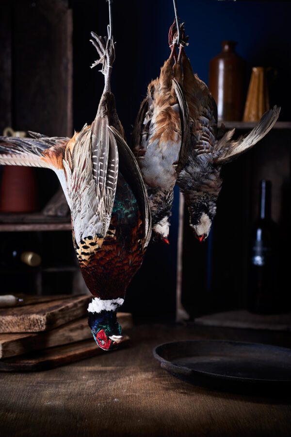 Pheasant